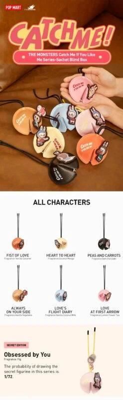 THE MONSTERS Catch Me If You Like Me Series-Sachet Blind Box -Pop Mart 20240131 170620 879859 1200x3895